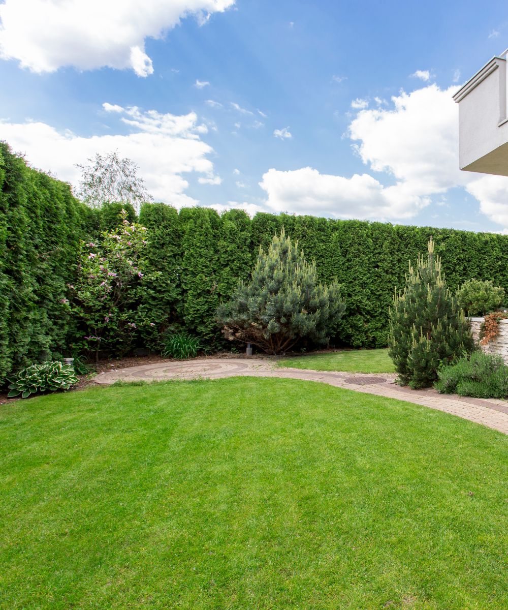 Entretien de jardin | Tony Jardin