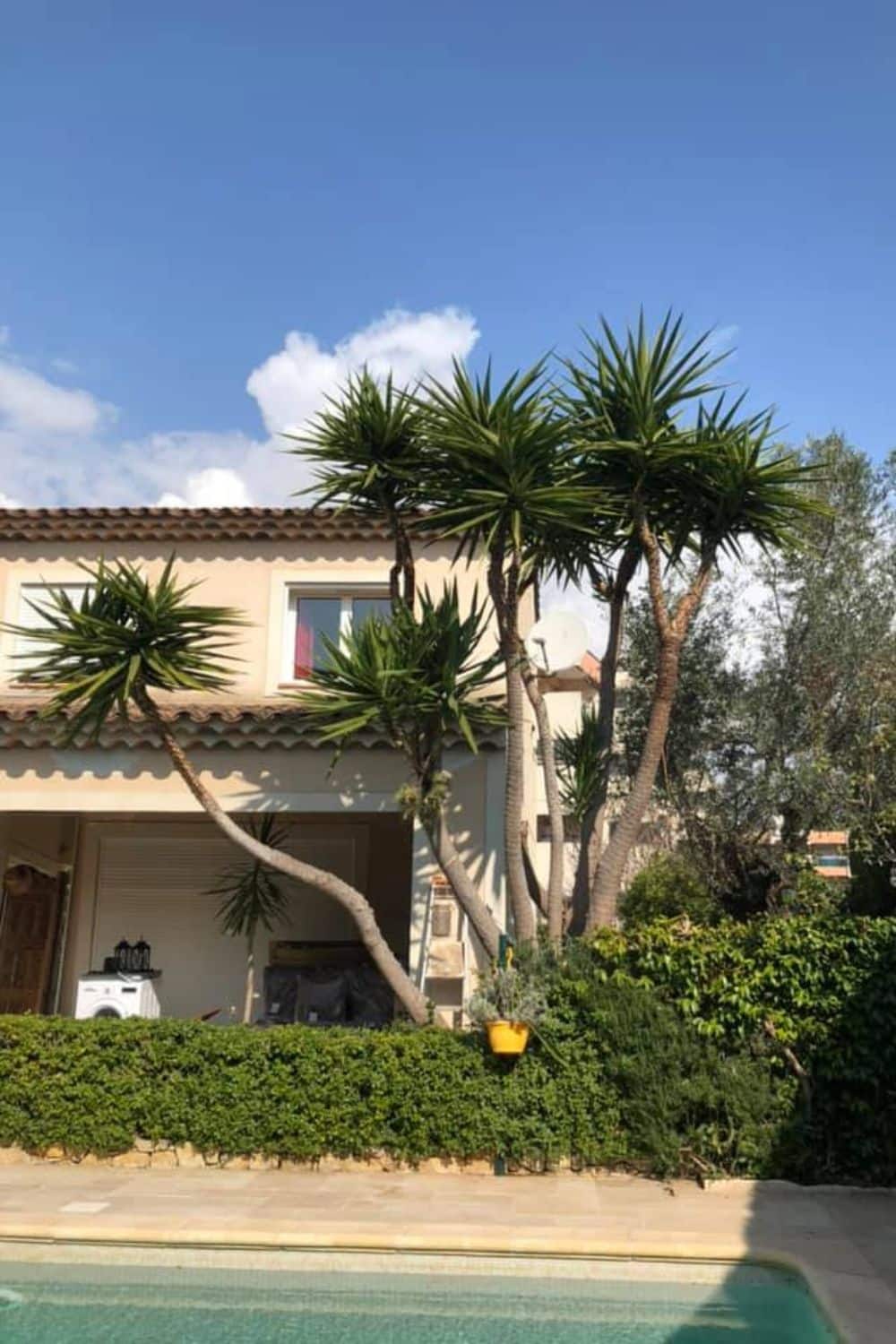 Entretien de jardin | Tony Jardin