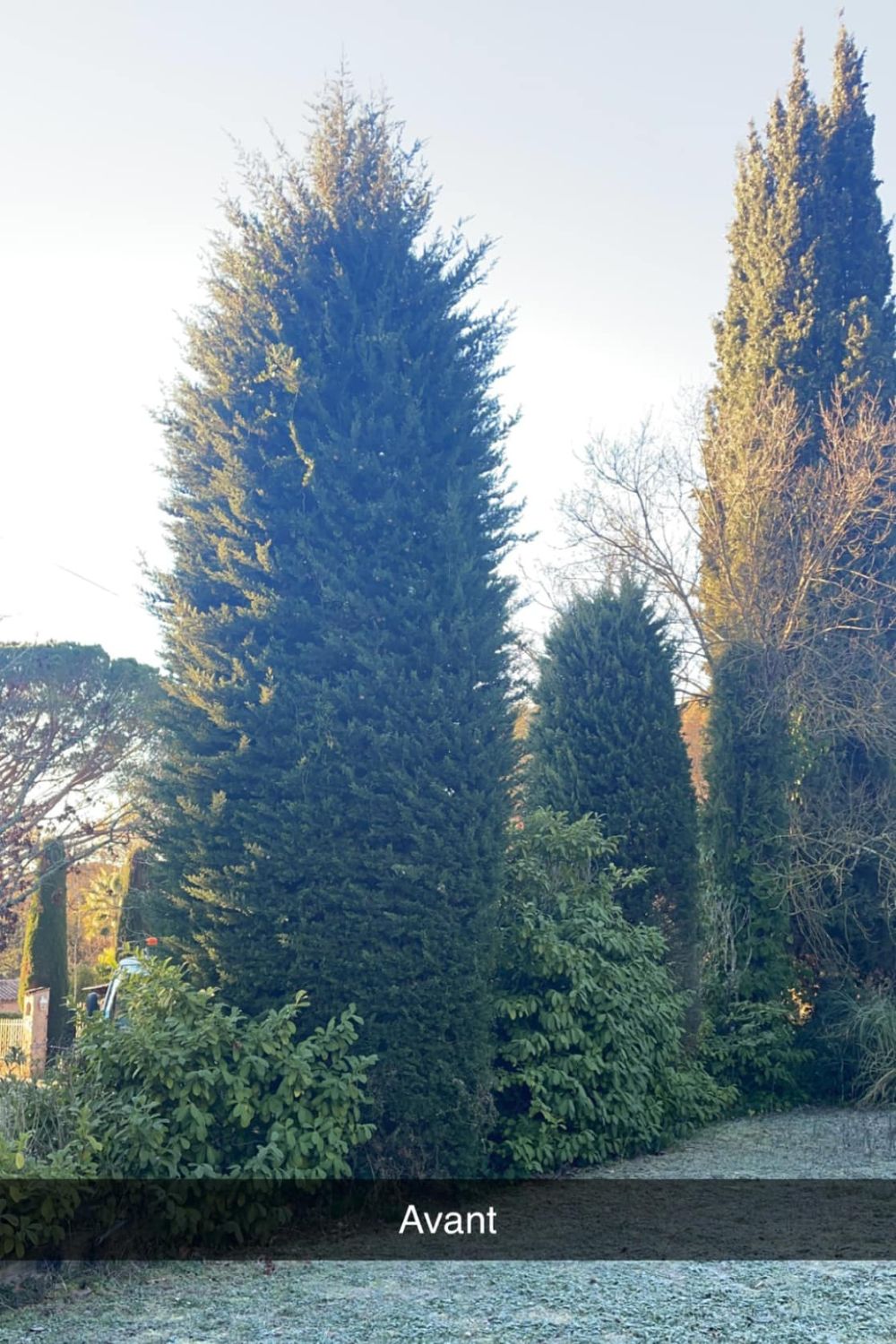 Entretien de jardin | Tony Jardin