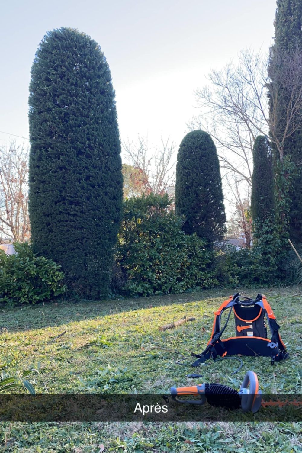 Entretien de jardin | Tony Jardin